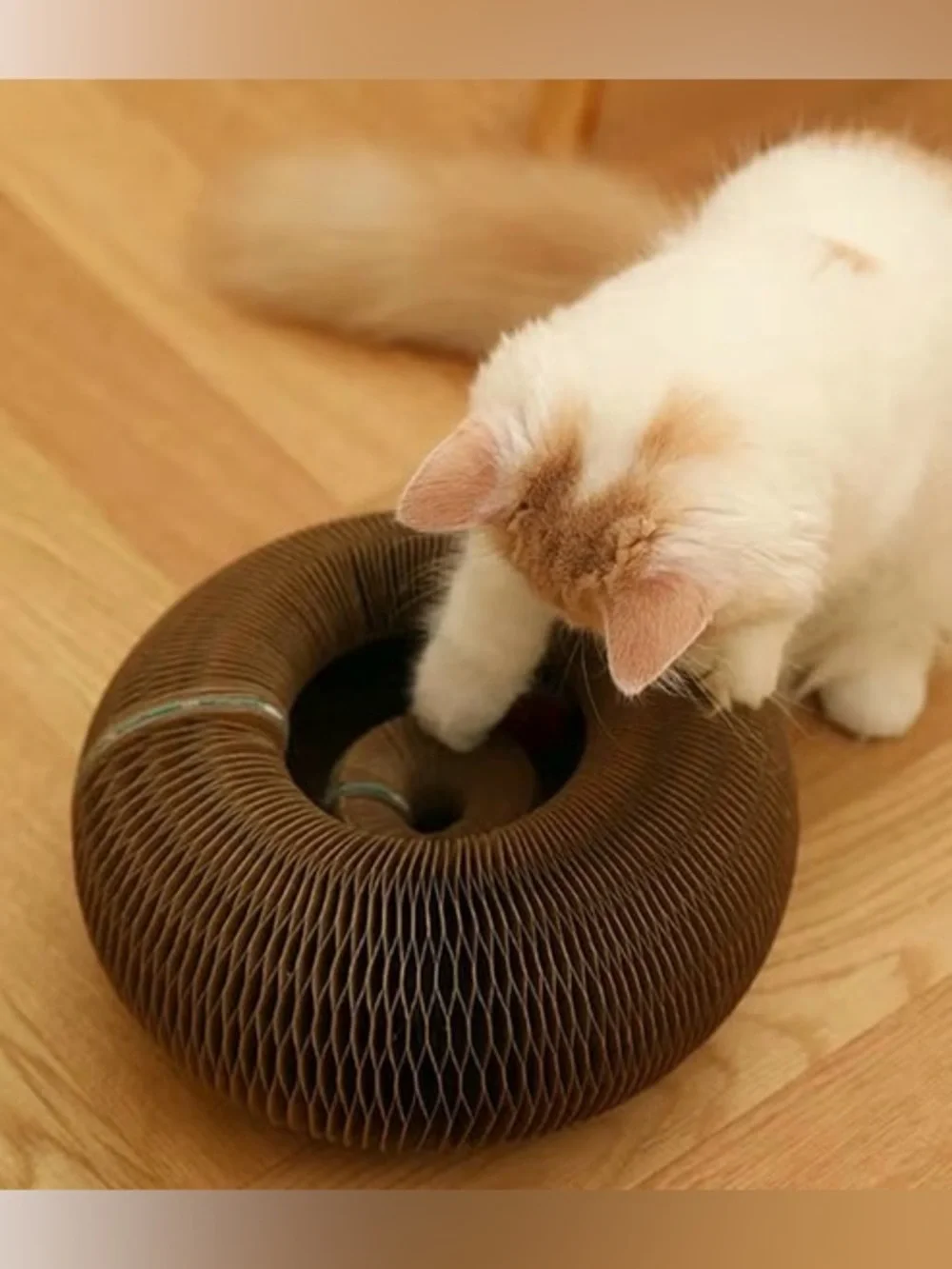 Cat Toy Interactive Ball Track